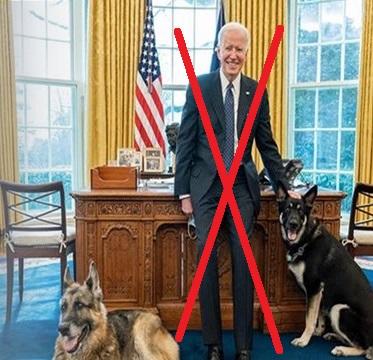Is it Fair that Joe Bidens Dogs Have to Leave the White House After One of Them Bit a Person?