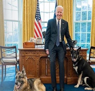 Is it Fair that Joe Bidens Dogs Have to Leave the White House After One of Them Bit a Person?