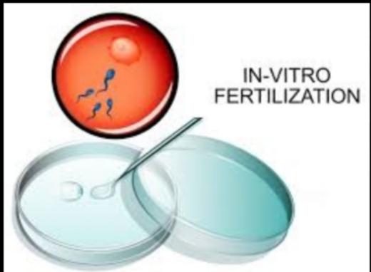 What Would You Do If You Really Wanted Kids And Then When You Try, You Find Out Your Partner/SO Is Infertile?