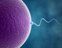 What Would You Do If You Really Wanted Kids And Then When You Try, You Find Out Your Partner/SO Is Infertile?