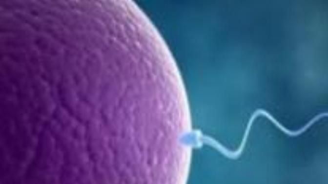 What Would You Do If You Really Wanted Kids And Then When You Try, You Find Out Your Partner/SO Is Infertile?