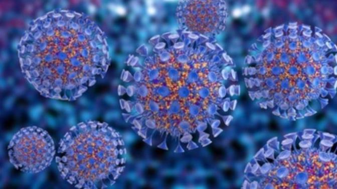 How is your Country handling the Corona Virus situation?