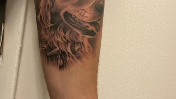 What do you guys think?