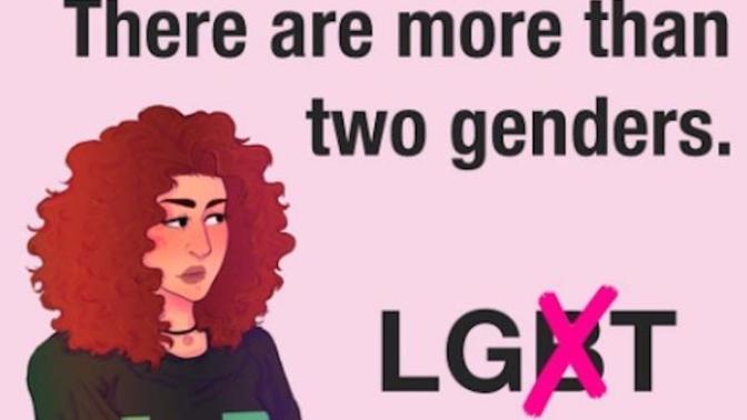 Is it just me, or is the LGBTQIA+ movement falling apart?