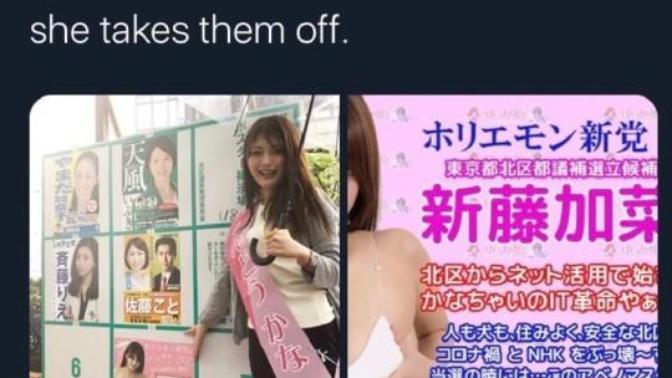 Do you think that Japan has the best system for democratic elections?