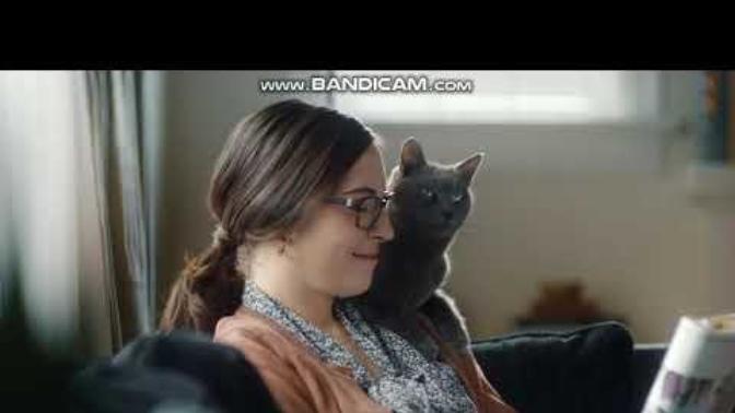 Sheba cat food commercial when the mom seems to care more about the cat, than the kid that says they fell and bleeding?