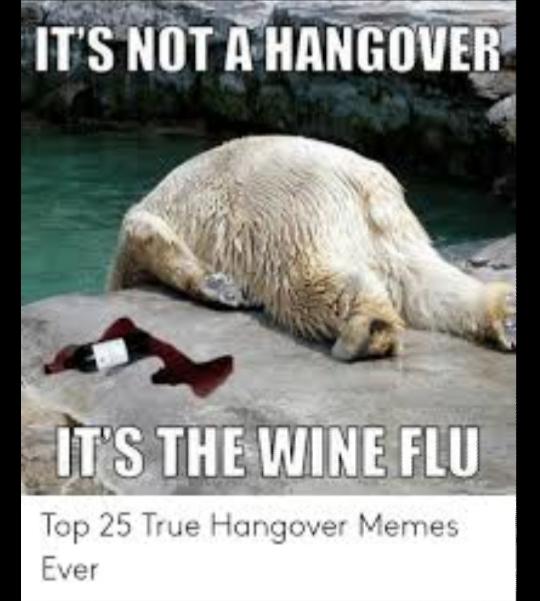 Do You Still Get Hangovers When You Drink?