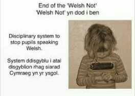 Should local languages be allowed in a country, or should only the country's Official Language be spoken?