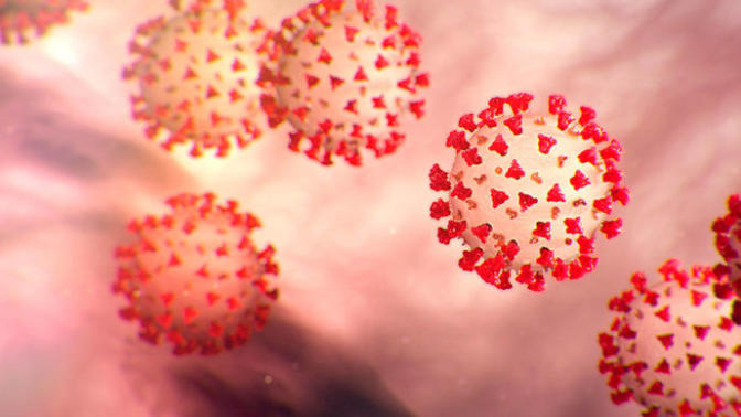 My job has a Covid outbreak and won’t close? What should I do?