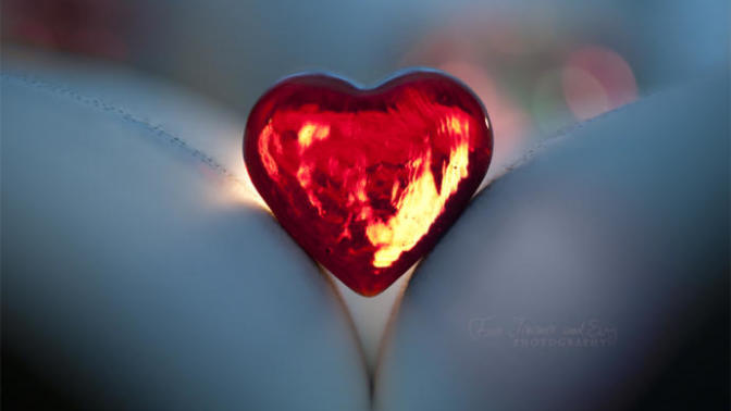 Guys, Difference between I have love for you and I love you?
