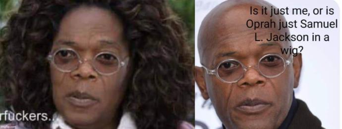 Oprah looks like Samuel Jackson in a wig. How do you feel about these alt-right making these racist claims?