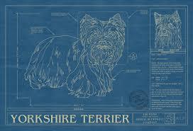 Which Dog Breed Is Mostly Liked Among Pomeranian And Yorkshire Terrier?
