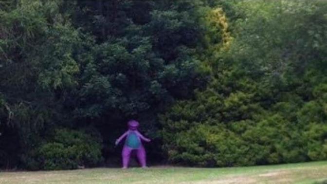 Would you give barney a hug?
