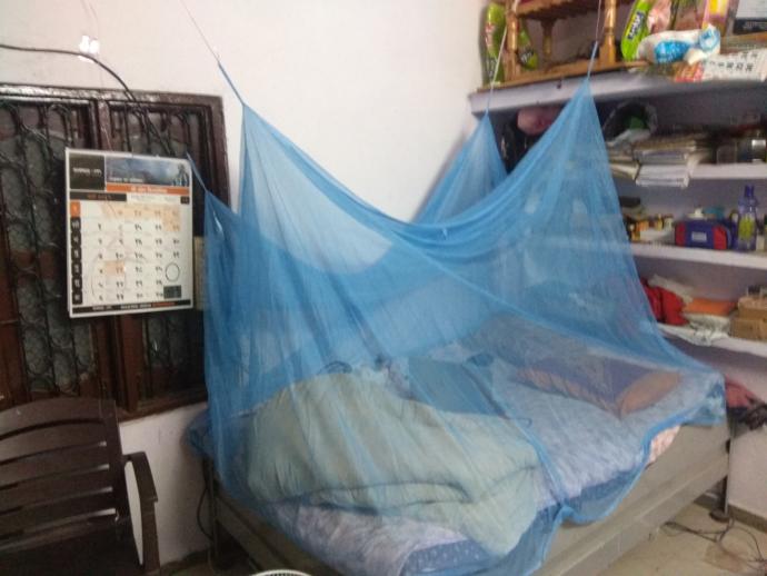 Have mosquitoes began invading your home yet?