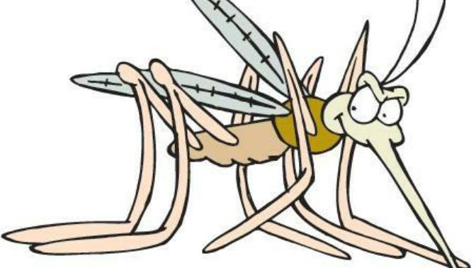 Have mosquitoes began invading your home yet?