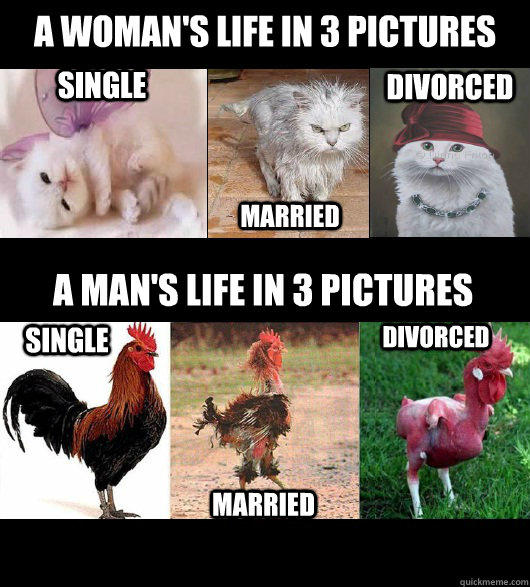 Would you rather be married and then divorced or not having been married in the first place but single?