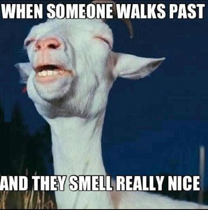 If someone complimented your perfume/cologne/deodorant/scent would you like that or find it weird and/or creepy?