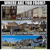 White Flight vs Gentrification. Can good honest White Folks do anything without it being called racist?