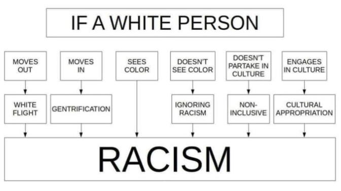 White Flight vs Gentrification. Can good honest White Folks do anything without it being called racist?
