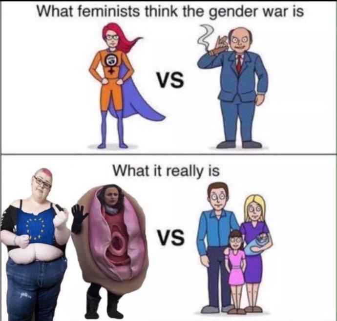 Do you disagree with modern feminism, but also do not want traditional gender roles (For yourself, at least)?