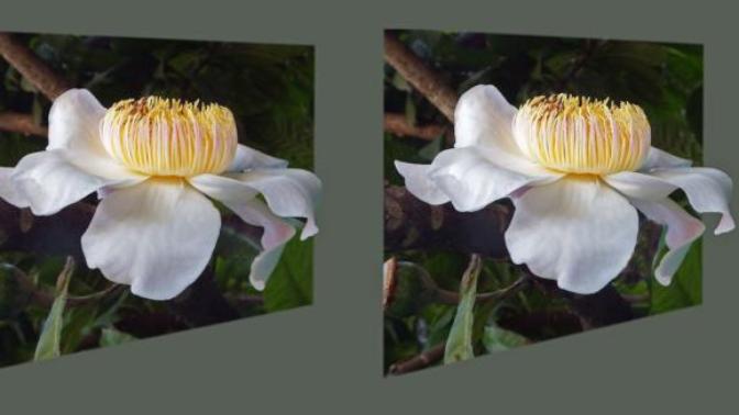 How do you feel about stereoscopic imagery?
