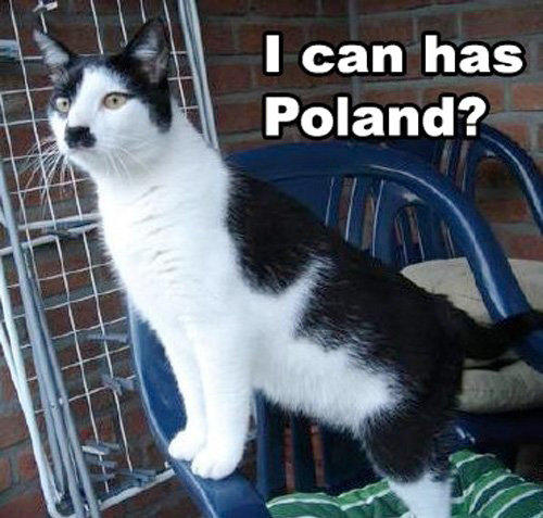 Is There Anything Amusing About a Hitleresque Cat?