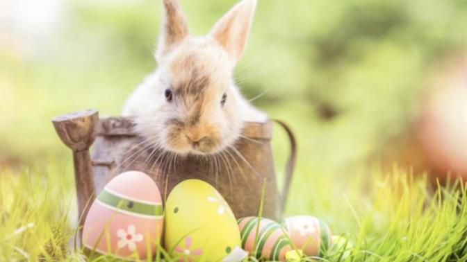 Do you celebrate Easter and the other holidays associated like Good Friday?