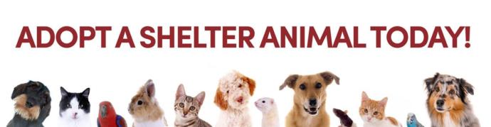 Would you date a person with a pet?