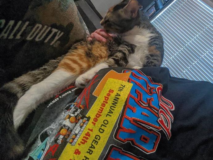 Would you date a person with a pet?