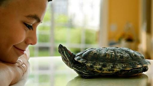 Would you date a person with a pet?
