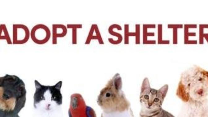 Would you date a person with a pet?