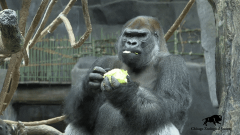 Do guys stare at you when you squat in the gym?