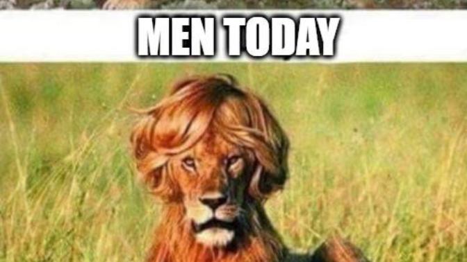 Guys, Red Pill men, what do you think about dominant women and submissive men?