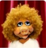 What Was Your Favorite Muppets Character?