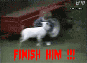 What are some of the most hilarious gifs you have seen?
