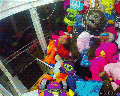 What are some of the most hilarious gifs you have seen?