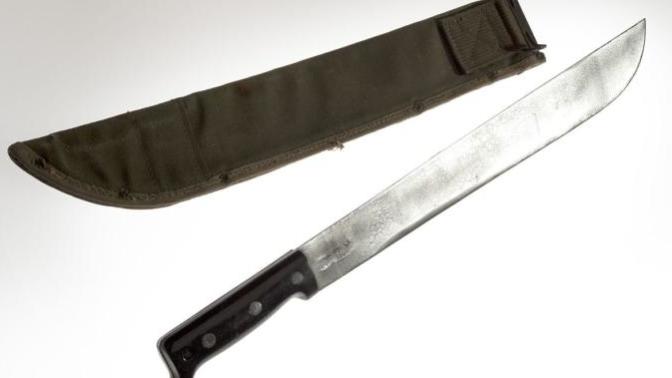 Asian man uses machete to chase away 5 muggers that attacked his parents, what are your thoughts?