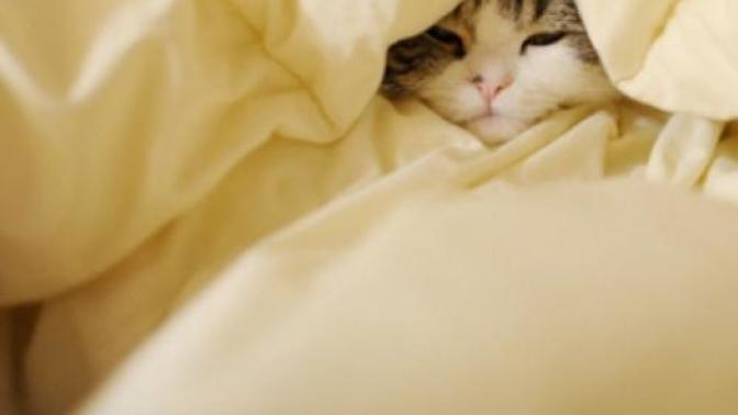 Have you ever been in hiding/healing mode?