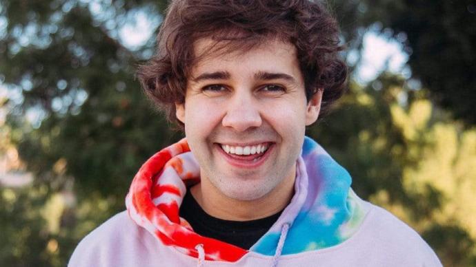 Does David Dobrik have the most punchable face of all time?