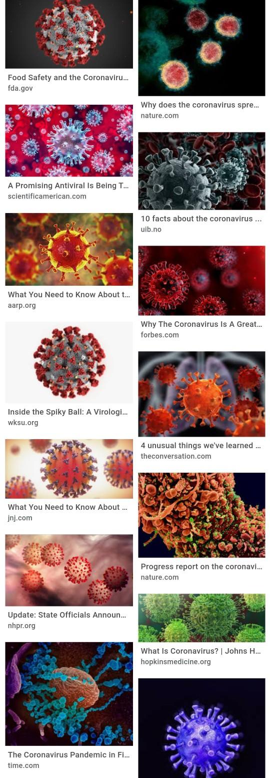 Will vaccination end the pandemic?