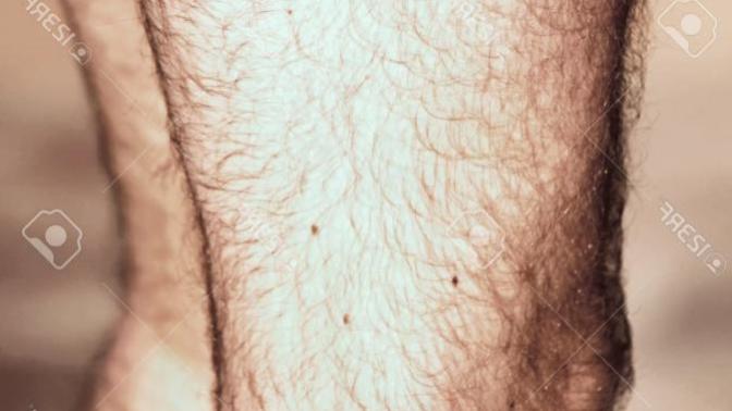 Girls, You prefer guys to shave / trim thighs & legs before wearing shorts?