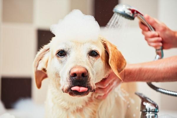 Do you have a morning and night routine?