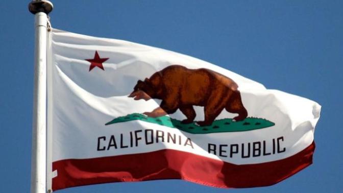 Who Should be California's Governor?
