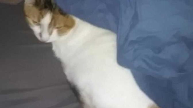 Do you like my white hairy pussy?