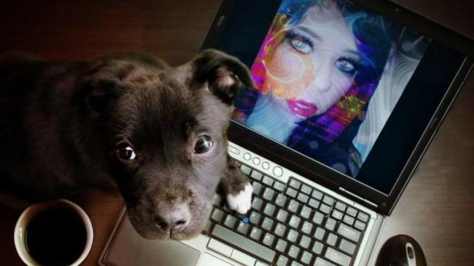 Online dating — threats or blessings?