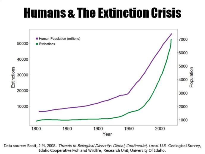 As we approach 8 billion and choke out other species