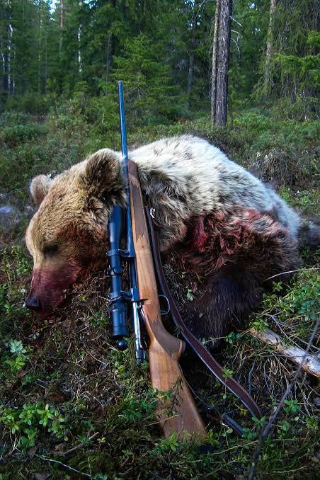 Do you hunt big game or small game?