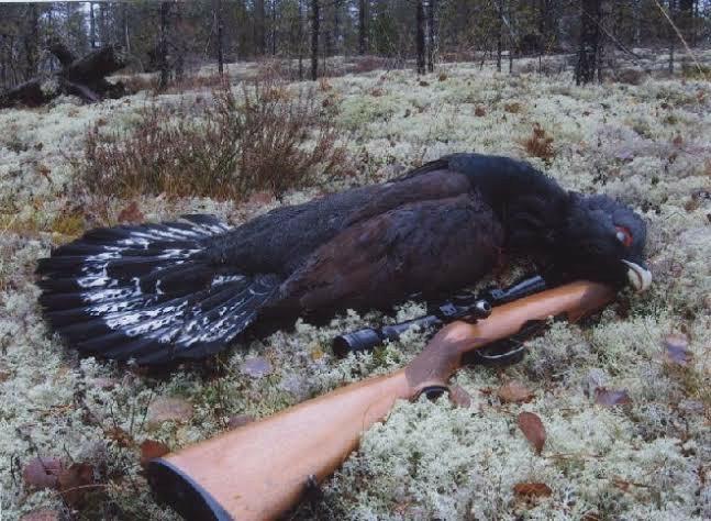 Do you hunt big game or small game?