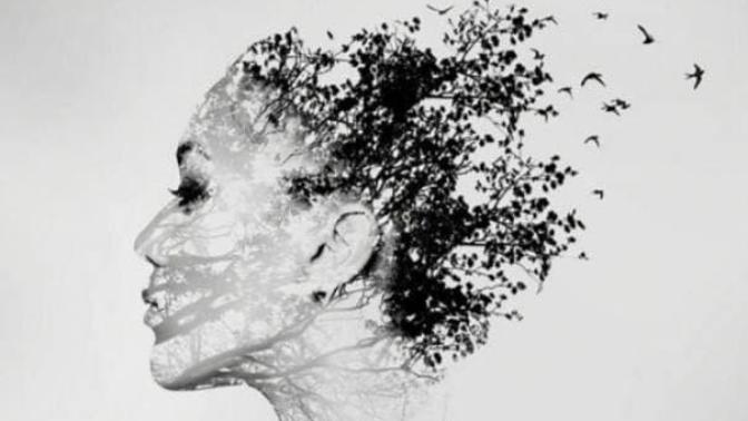 What does this image means if a guy put it as his profile picture?