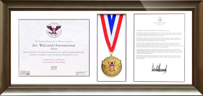 Which would hold more weight to you in getting one of these prestigious service awards?